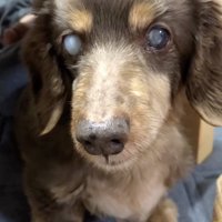 不安いっぱい…