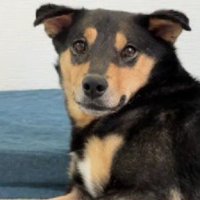 これからも幸せにね！