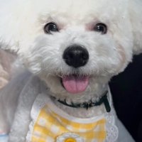 ママが撮ったポテトくん1