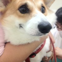 初めてのワクチン接種