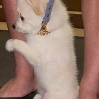 犬生一周目すぎる♡