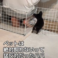 犬用サークルの中！！