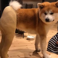あまりに美脚…！！