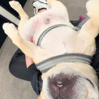リラックスにもほどがある…