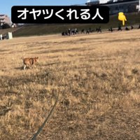 オヤツをくれる人を見つけたごぅちゃん