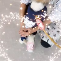 愛情いっぱい胸いっぱい