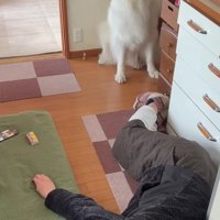 パパを置き去りに…