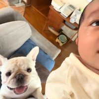 飼い主の足にしがみつく犬