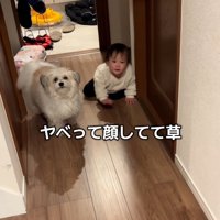 ママに気づいた小太郎くん