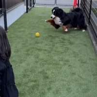 とっても楽しそう♪