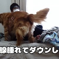 体調不良時のよもぎちゃん＆だいず君の対応2