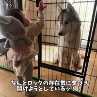 「今開けるからね！」