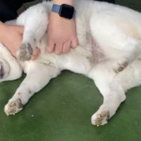 お仕事