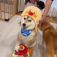 アンパンマンカーを押す姪っ子ちゃん