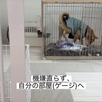 「寝てやるかー」