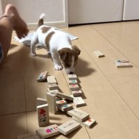 入念に匂いチェック