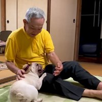 嬉しそうに甘える坊くん