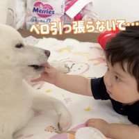 坊や、舌をロックオン