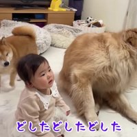 2匹で大慌て