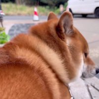 お見送りを欠かさない