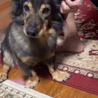 投稿主さんを見るマックくん