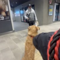 「おかえりぃぃ」