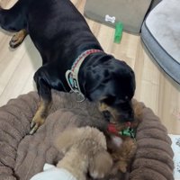 むぎママのチェックが入ります