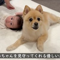 仲良しで微笑ましい♡