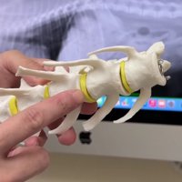 腰を悪くしたポテチちゃん