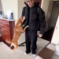 ジャンプするごぅちゃん