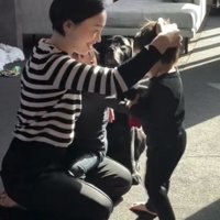 頭をなでられる男の子と見守る犬