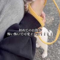 念願のお散歩デビュー！