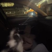 目にも止まらぬ速さで駆け出す