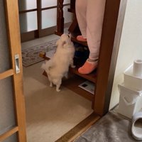 ついにママさんが起床♪