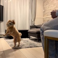 たわし君のナイトルーティン8