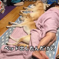 ベッドへの移動を促すと…