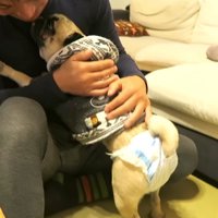 仕返しにペロペロ攻撃！