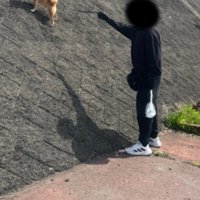 散歩中