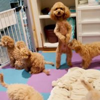 「そこにおったんか！」