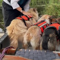 みんなでボートに乗れた