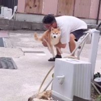後追いする姿に…