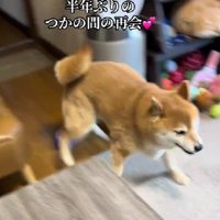 スイッチが一気にオン