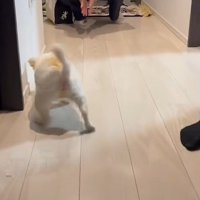 お兄ちゃんの気配が近付く