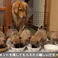 子守り上手なヒナタちゃんでした