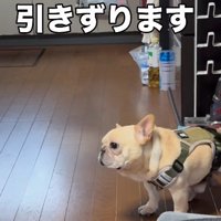 ズルズルズル…