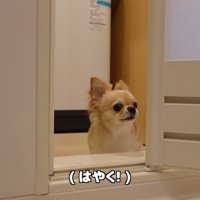 文句を言う姿も可愛い