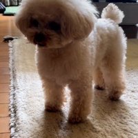 「まだかなあ…」