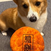 おもちゃを前にすると…