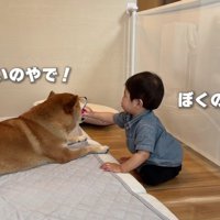 なかなか終わらない戦い