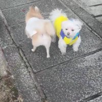 微笑ましいオフシーンでした
